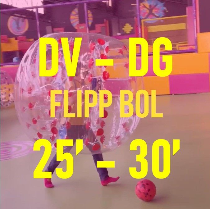 7.5.-FLIPPBOL ( DV-DG+ FESTIUS) 25'-30'