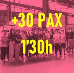 2.-PACK ESPECIAL GRUPS ( +30 PAX) Flipp elàstics, FLipp xarxes i FLippbol ( 1,30 hores activitat)