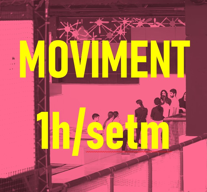 8. MOVIMENT 1 HORA SETMANA