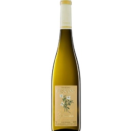 VB GRAMONA GESSAMÍ 2023