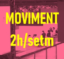 8.0  MOVIMENT 2 HORES SETMANA